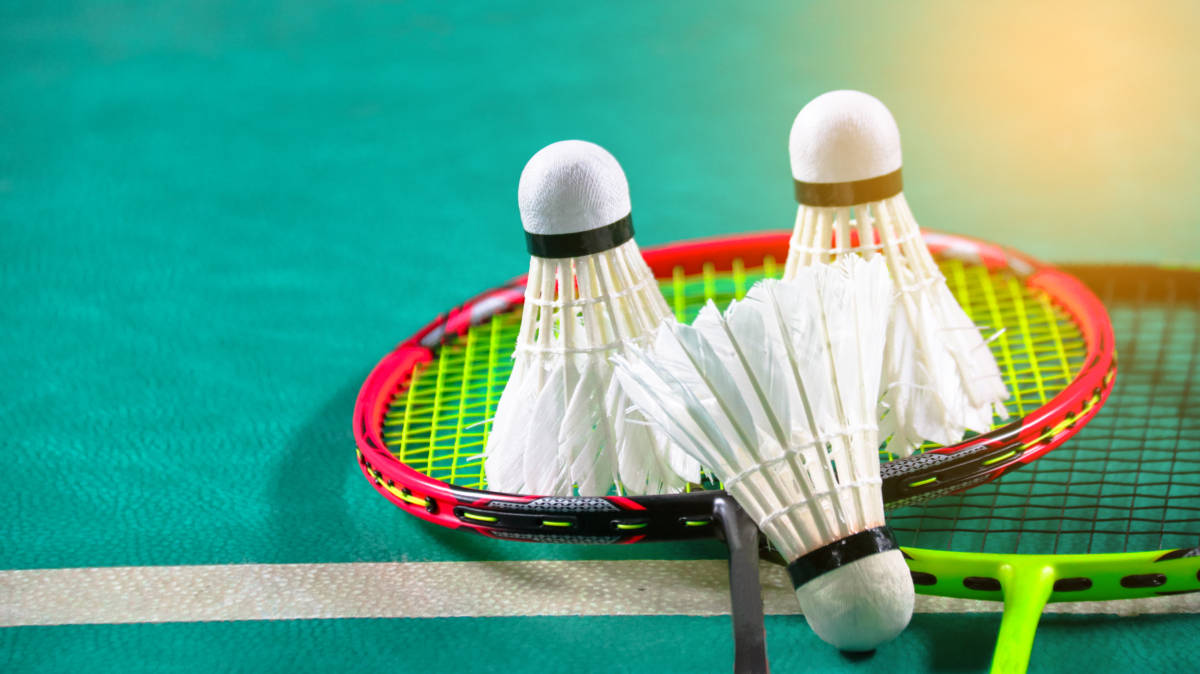 交换意见 交换意见